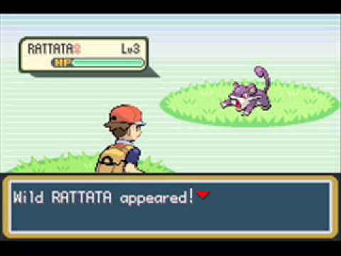 A wild Rattata appears